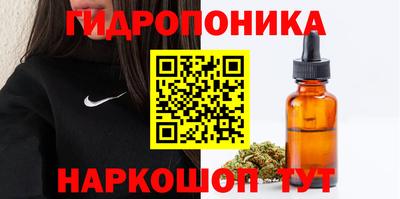 гашик Абинск