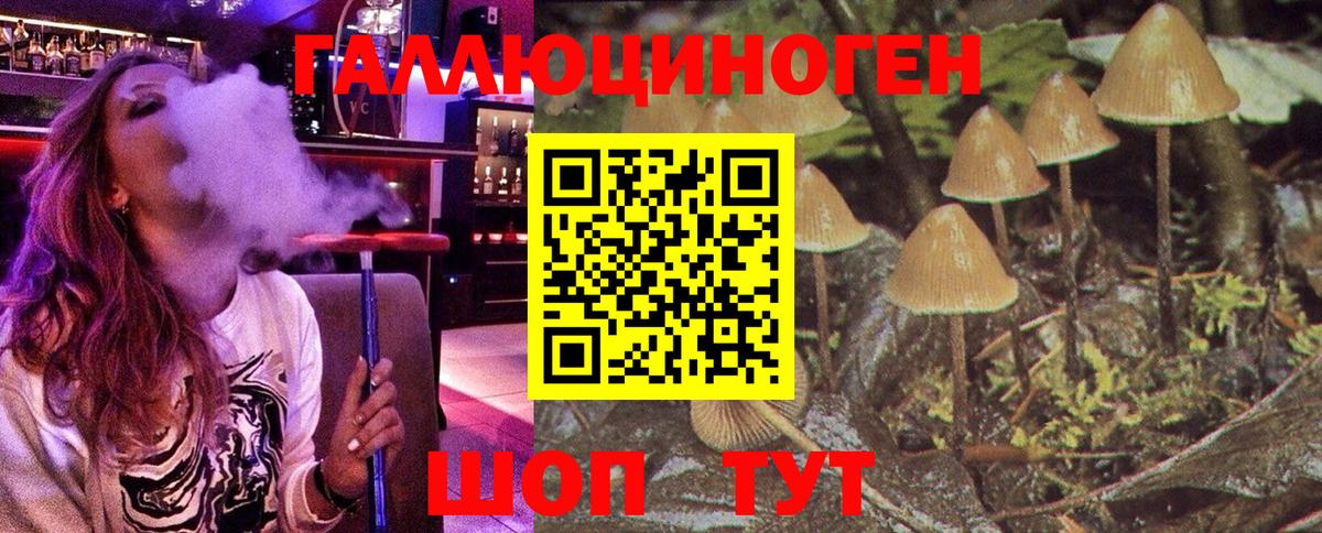 Абинск  Псилоцибиновые грибы GOLDEN TEACHER  Вход с VPN 